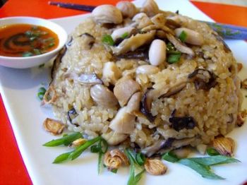 الأرز اللبناني Wasfa_71478