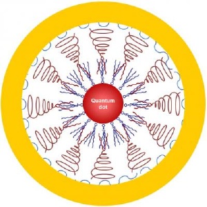 Kết hợp nhiều loại Nanoparticles nhằm ứng dụng trong Y học  Technology_94_NewsImage_18271