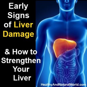 Early Signs of Liver Damage & How to Strengthen Your Liver Post252a-300x300