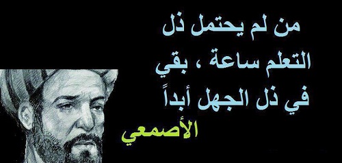 بيت الحكمة  - صفحة 2 %D8%A7%D9%84%D8%A3%D8%B5%D9%85%D8%B9%D9%8A_6225