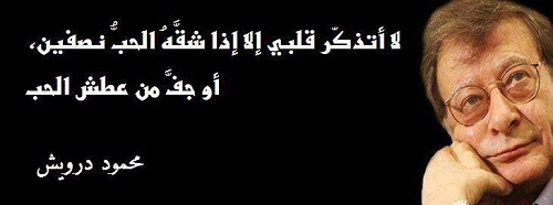 حانه الفلاسفه واقوالهم - صفحة 4 %D9%85%D8%AD%D9%85%D9%88%D8%AF-%D8%AF%D8%B1%D9%88%D9%8A%D8%B4_8682