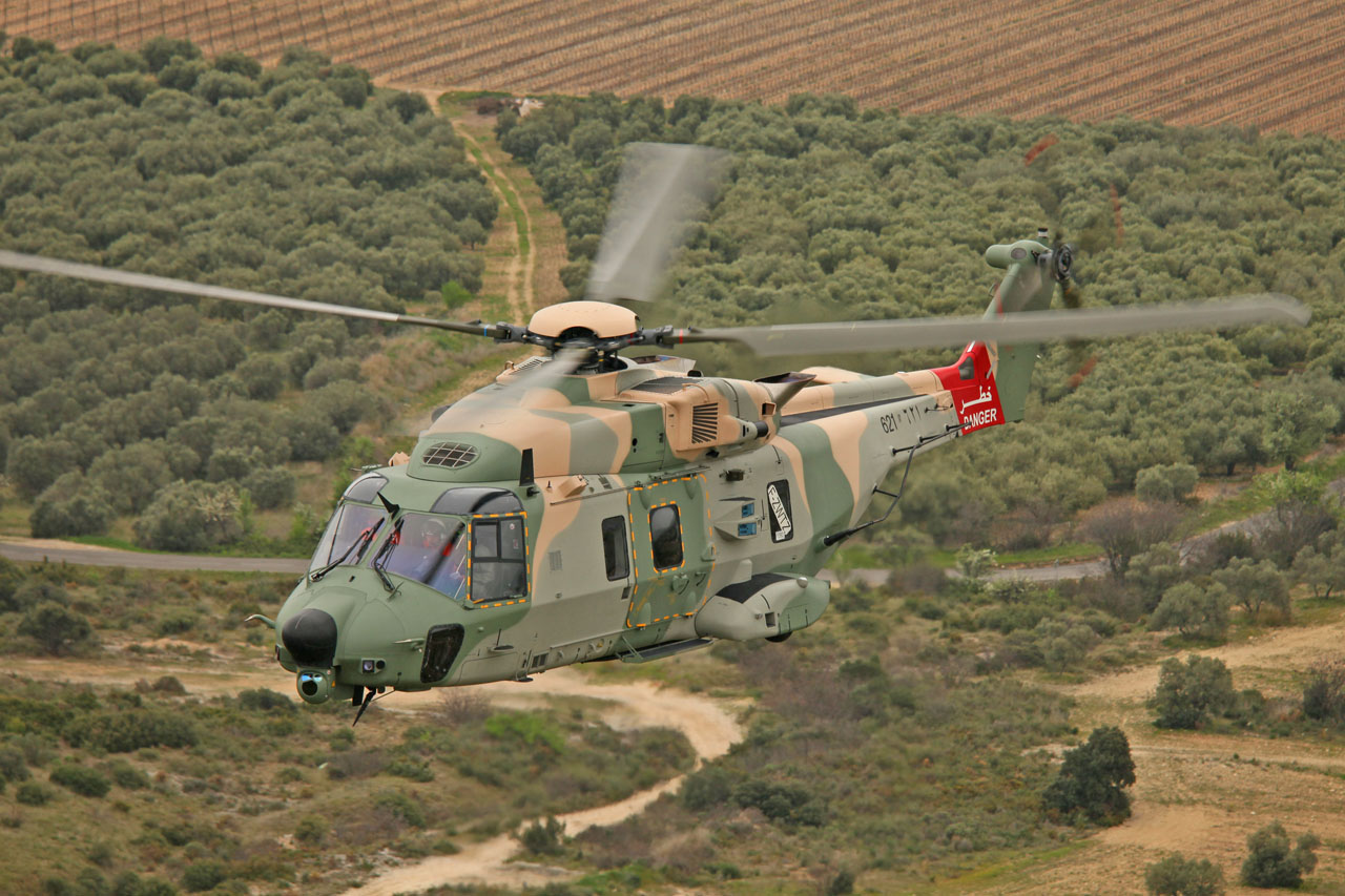 Armée Omanaise / Sultan of Oman's Armed Forces - Page 7 NH90201h