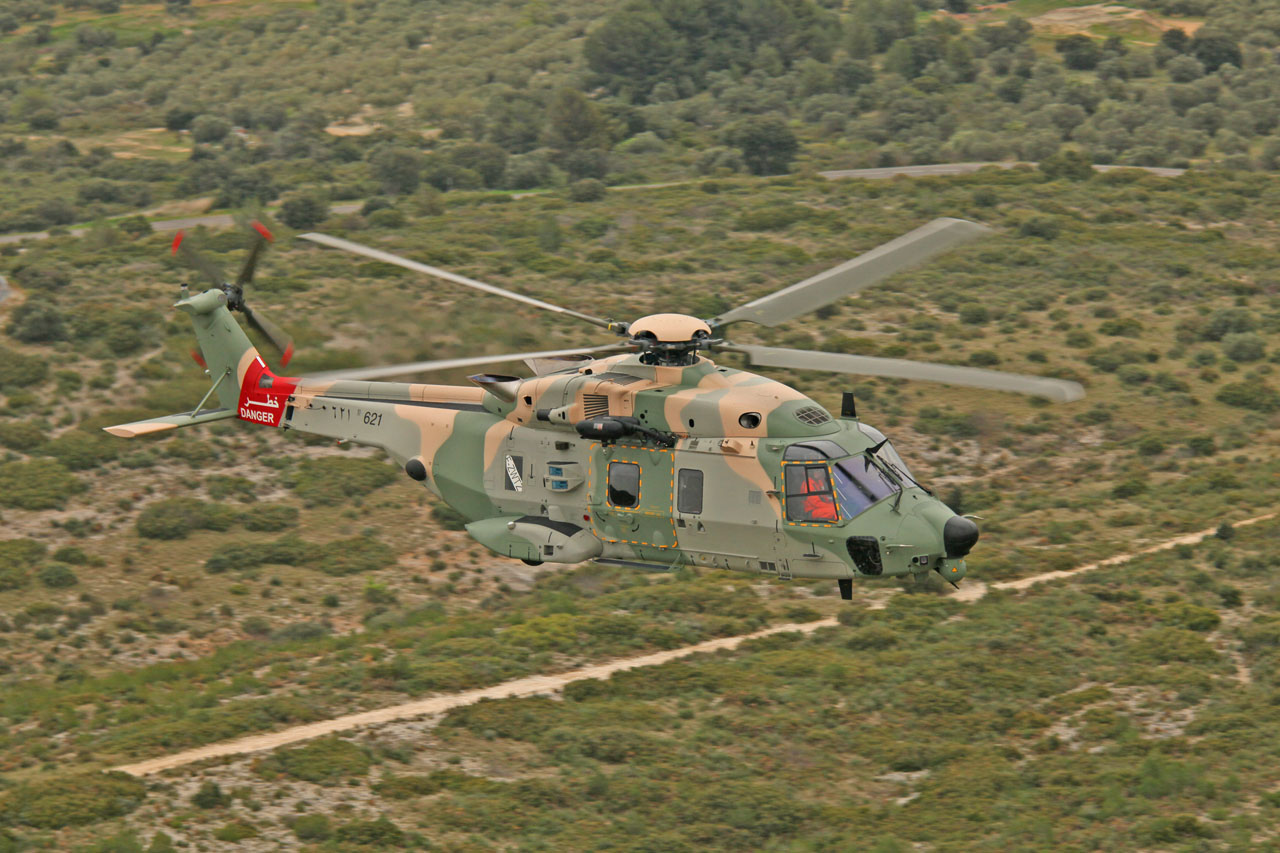 Armée Omanaise / Sultan of Oman's Armed Forces - Page 7 NH90202h