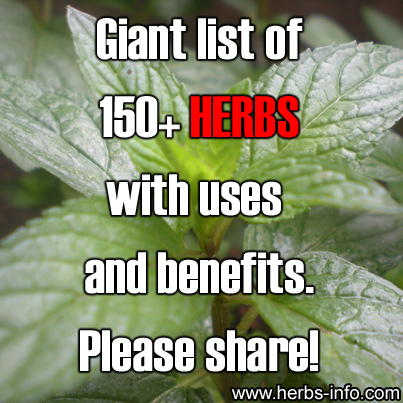 A to Z Medicinal Healing Herbs : Properties and Uses List-Of-150-Herbs-With-Uses-And-Benefits