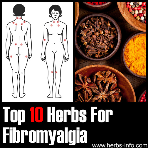 Herbs For Fibromyalgia Top-10-Herbs-For-Fibromyalgia1