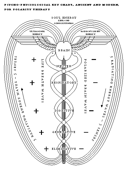 Çakralar, Kundalini ve Okült Anatomi Ar2-cad1