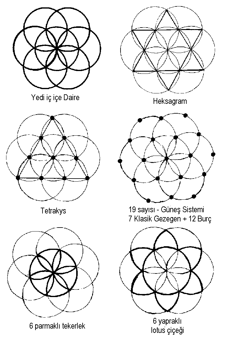 Sayıların Erdemi Seven1