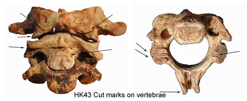 sacríficios humanos Hk43_cutmarks