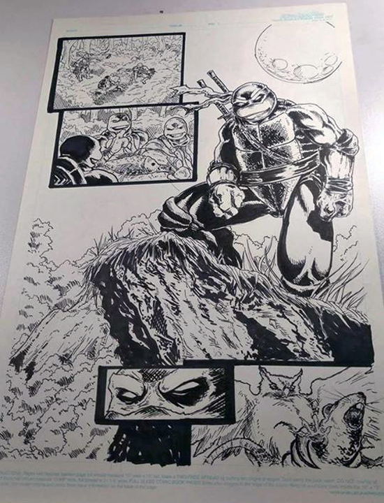 Indiegogo - TMNT Origin (nouveau projet comics) Predhead