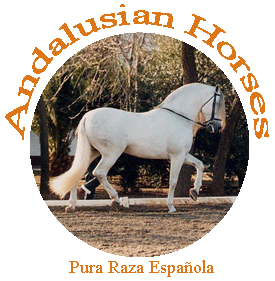 الحصان الأندلسي ... ما زال نسبه حيا إلى اليوم Andalusian-Horses-For-Sale