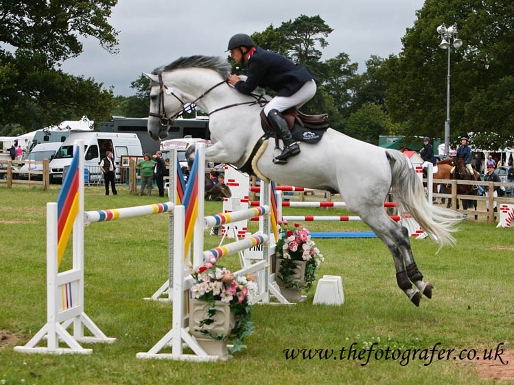 Crocodile Dundy A Zangersheide Stallion BolsworthCastle-RobertBevis2