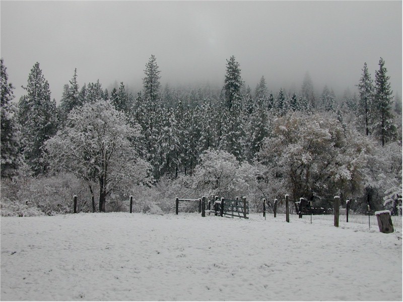 صور فى قمه الروعه فى الشتاء والثلج Winter-backyard1