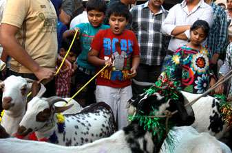 salman - ★ Goats named Shah Rukh, Salman, Aamir are hot sellers on Eid ! Cc597fe1-7517-40c9-b7f1-46e1b96bf5bbMediumRes