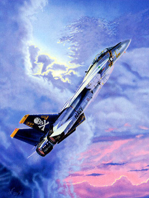 Le F-14 : un avion de légende Intro