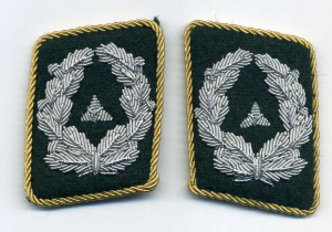 Uniformes de la Luftwaffe Felddirek-maj012_thb