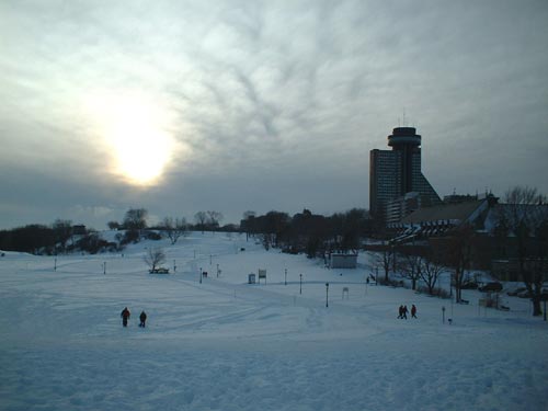 Les Algériens n’ont pas trouvé l’eldorado au Québec Picture-314