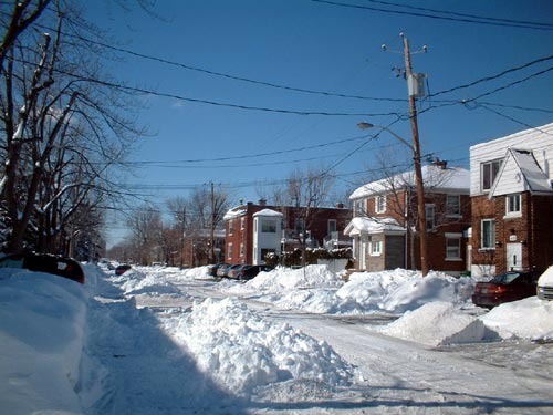 Les Algériens n’ont pas trouvé l’eldorado au Québec Picture-361