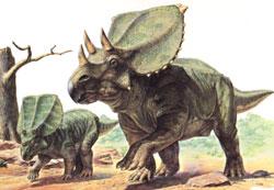 El Chasmosaurus Tam60101