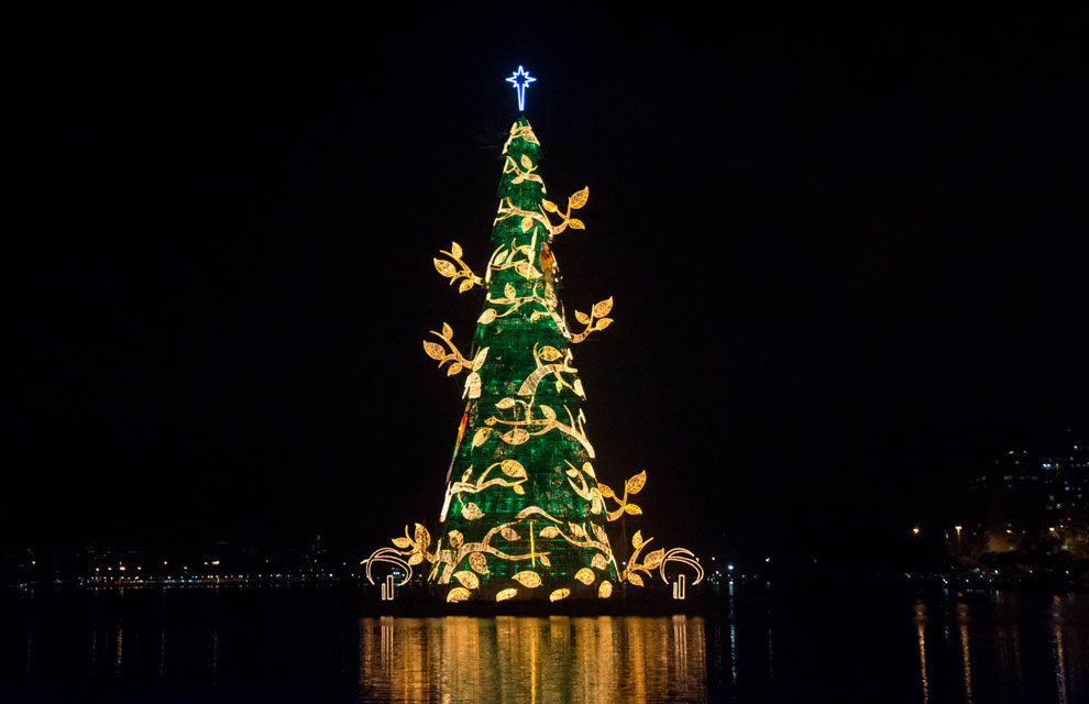 Con que me sorprendes hoy??? - Página 3 Arbol-brasil2-a