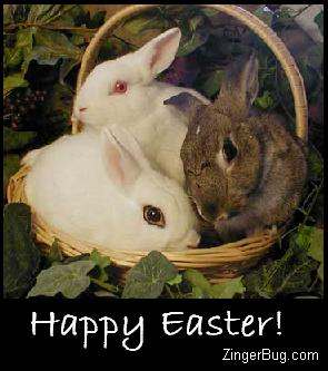 Happy Easter 2010! Happy_easter_bunnies_in_basket