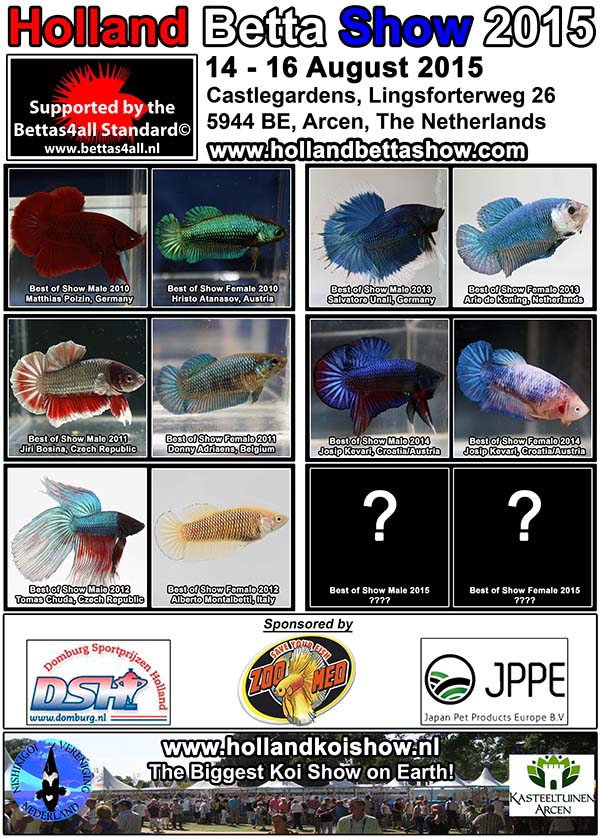 Bettas4all presents the Holland Betta Show 14-16 August 2015 PosterHBS2015