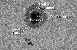 Other stars, other worlds, other life? Sunspot