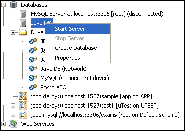 تشغيل سرفر قاعدة بيانات Derby من خلال تطبيقات الجافا  Services_server_start