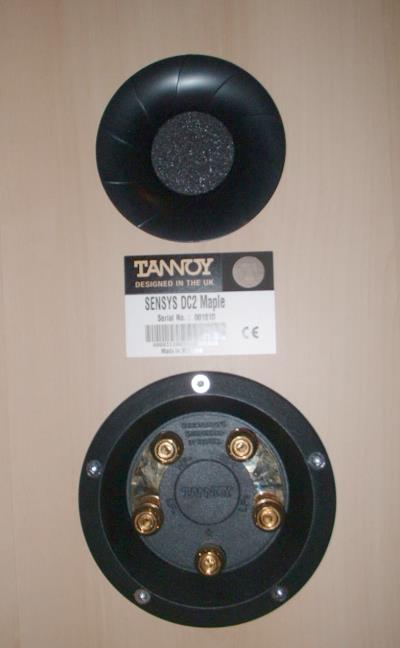 Bicablagem de Colunas Tannoy-dc2-speakers-rear-panel