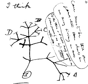 Evolutionnisme - Charles Darwin Dessin-darwin-i-think-evolution