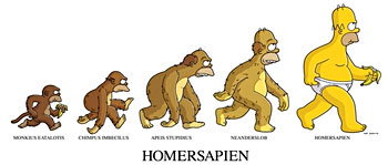 Blagues - Page 26 Evolution-homer-simpson