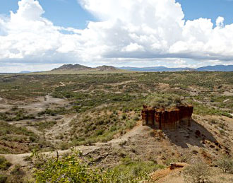 Les premiers outils fleur! Olduvai-gorge