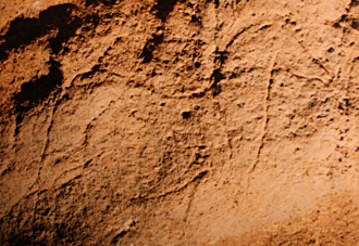 Grotte Pair-non-Pair en Aquitaine Cheval