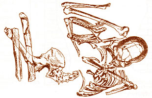  Les premières sépultures de la préhistoire Skhul-5
