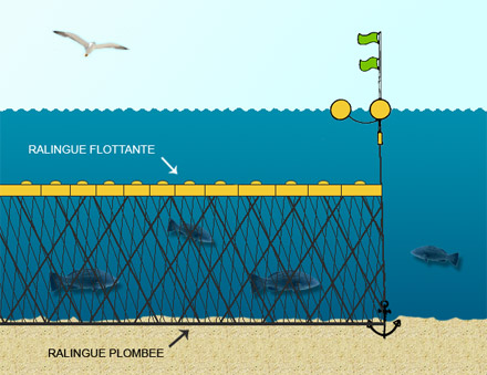 DIVERS OM ........... Schema-peche-filet