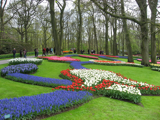 Voyage vers la Hollande aujourd’hui pour revoir le site unique de Keukenhof (Lisses, Pays-Bas), à l’apogée de ses floraisons. Jardin-keukenhof4.jpg