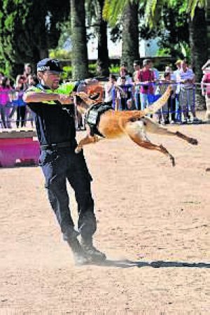 El perro, el agente de la autoridad a cuatro patas 4700359