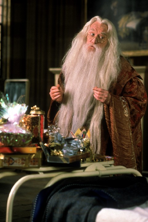 Albus Dumbledore Dumbledore-harris-film