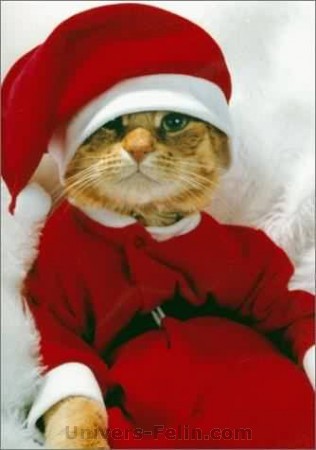 Qui qui c'est qui va trouver? - Page 2 Big_1850_chat_pere_noel