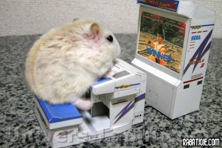 HUMOUR le petit du monde des Jeux Videos  ...   Big_9013-lapin-mini-console-jeux