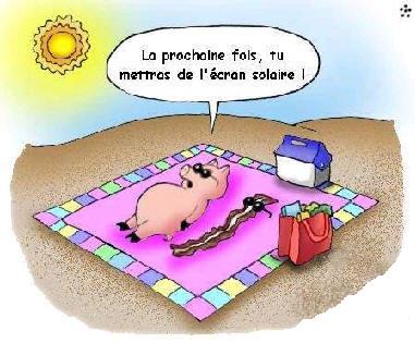 image drole Cochon.coup.de.soleil