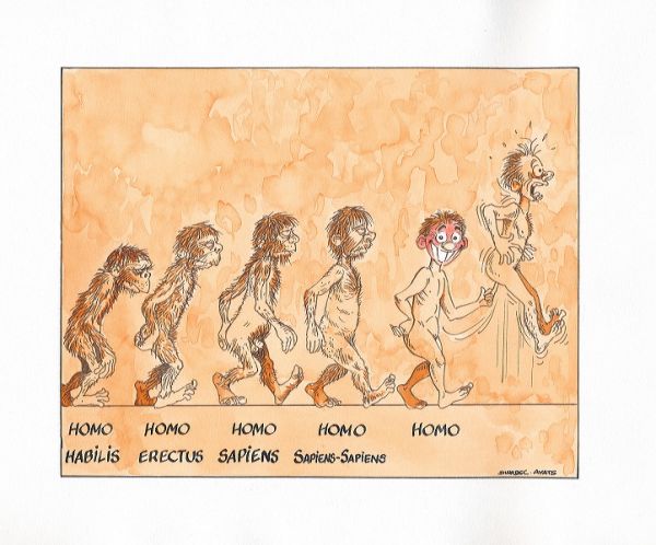 Ce topic est pour les femmes, les hommes sont les bienvenus mais interdit de poster lool - Page 3 Evolution_homo