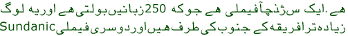 افریقہ 25