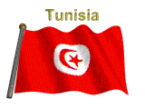 Drapeau de la Tunisie 3Tunez-tfsia