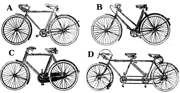 أنواع الدراجات الهوائية Pbike2