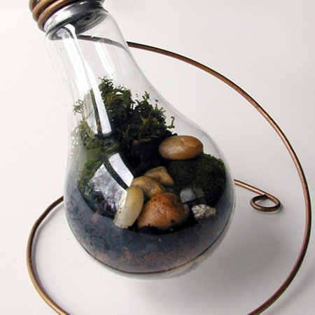 Materiales para Greenpunk Green-terrarium1