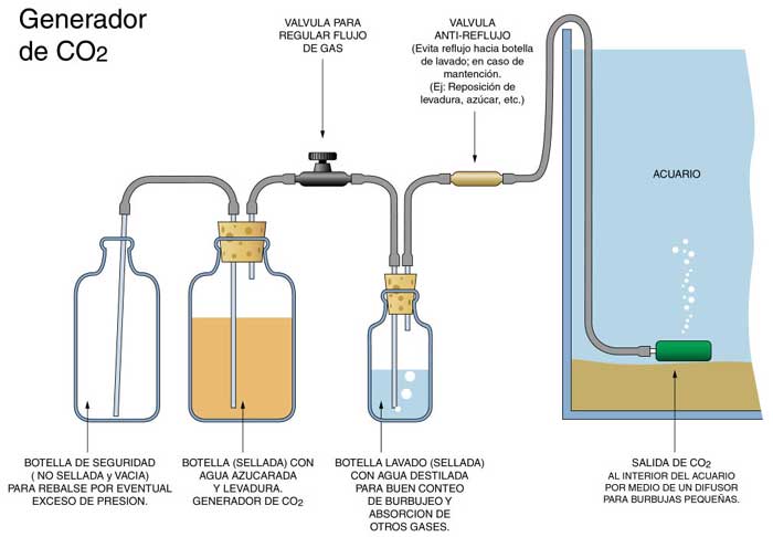 Como hacer generador CO2 casero para acuarios Generador-co2