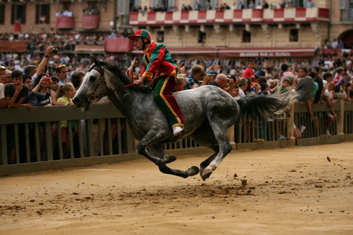 Palio luglio 2019 1404069625139