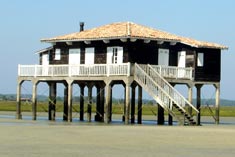 les cabanes tchanquées du bassin d'arcachon Avant-2