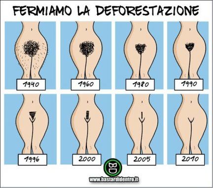 Dankverbot - Page 20 Fermiamo-la-deforestazione