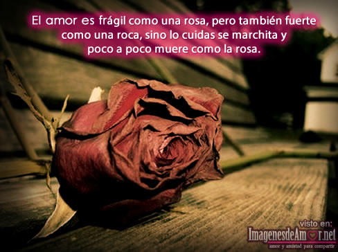 Poemas con imagenes Amor_fragil_como_rosa